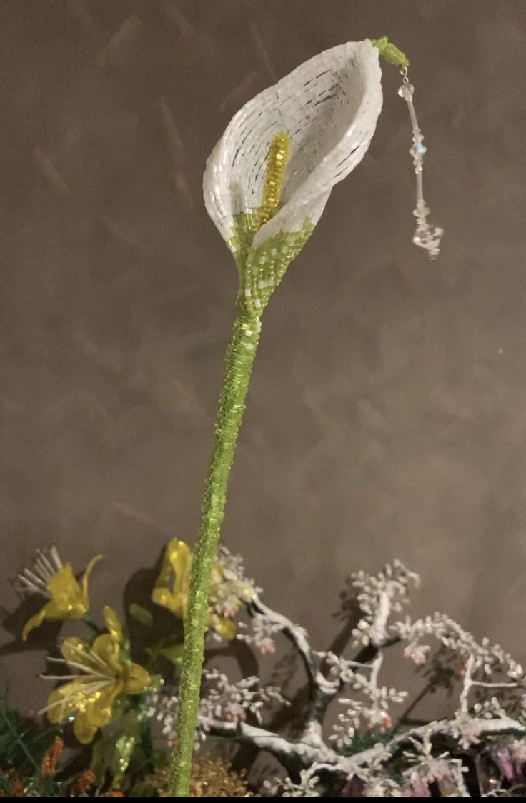 Calla Lily