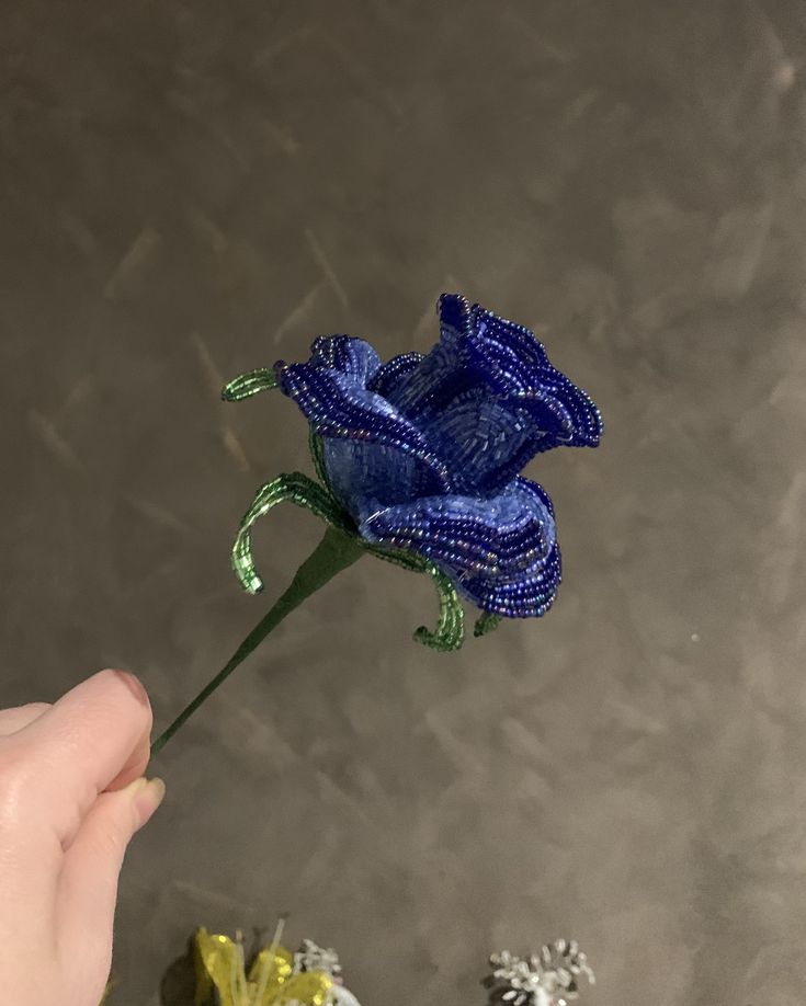 Blue Rose