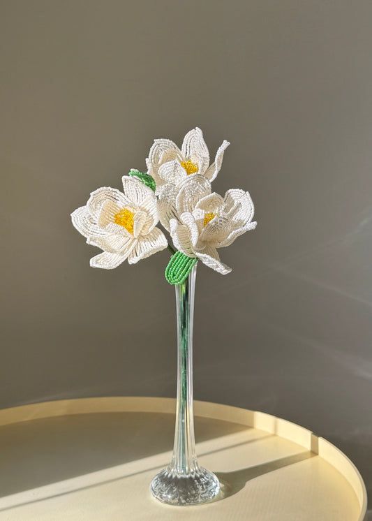 Magnolia Stem