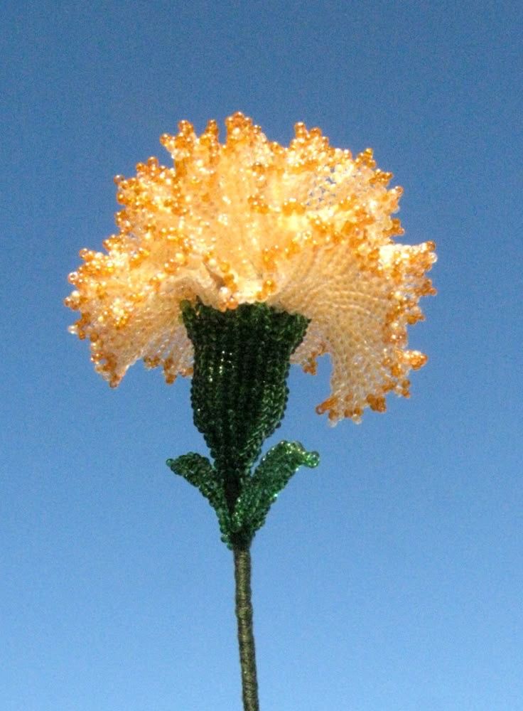 Marigold Stem